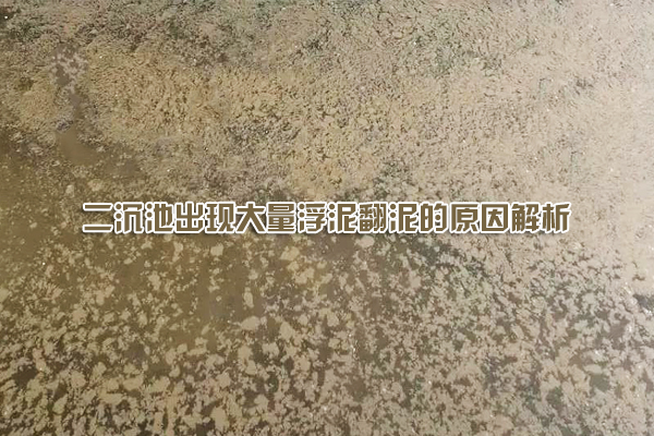 二沉池出現(xiàn)大量浮泥翻泥的原因解析