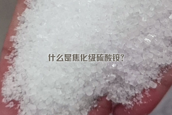 什么是焦化級硫酸銨？