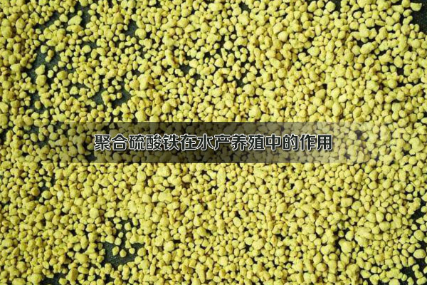 聚合硫酸鐵在水產(chǎn)養(yǎng)殖中的作用