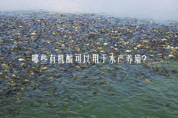 哪些有機酸可以用于水產(chǎn)養(yǎng)殖？