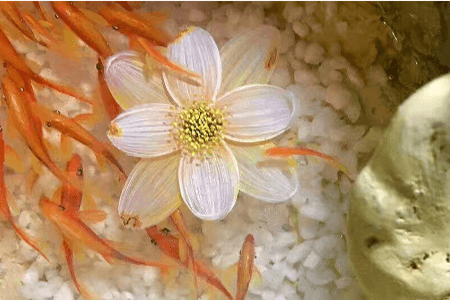 樹脂畫，滲透劑