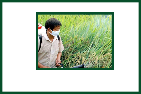 農(nóng)藥乳化劑作用